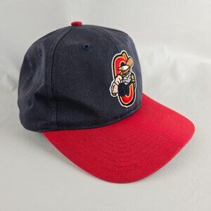 Lake County Captains Hat Cap Adjustable Snapback Minor League Twins Enterprise